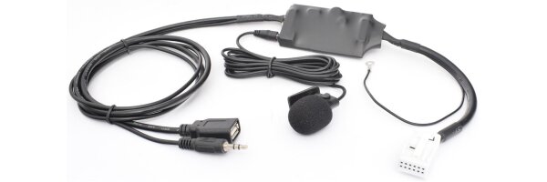 BlueMusic Bluetooth + USB/AUX
